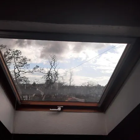 Ferienwohnung Mit Pool